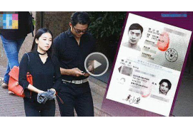 太平洋保险催收投诉:解析常见问题及应对策略 太平洋保险催收投诉:解析常见问题及应对策略